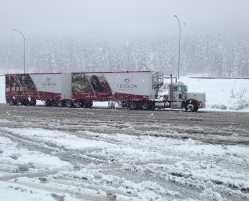 Denbow Winter Driving Safety - Transport truck driving in snow