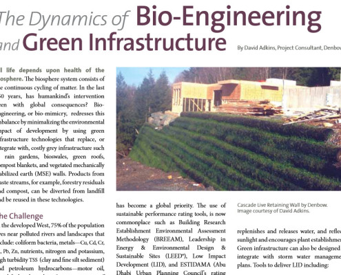 the Story of Dynamic BioEngineering