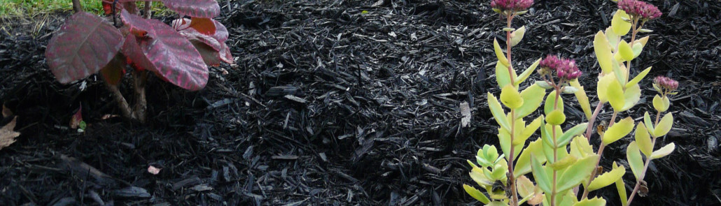 Black Mulch for landscaping