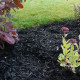 Black Mulch