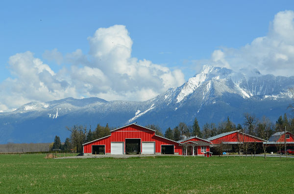 dairy farm