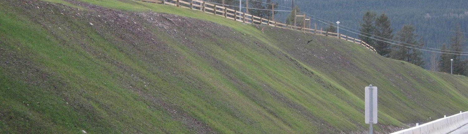 slope revegetation - EcoBlanket