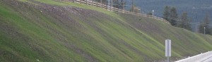 slope revegetation - EcoBlanket