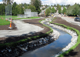 Terraseed a streambed for protection of soil erosion