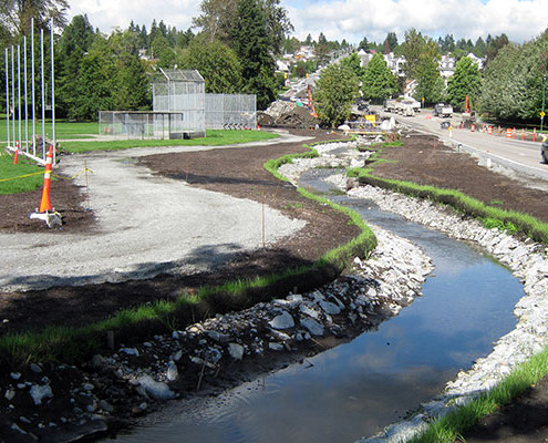 Terraseed a streambed for protection of soil erosion