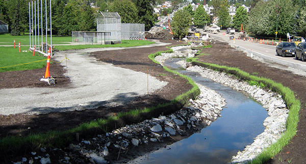 Terraseed a streambed for protection of soil erosion