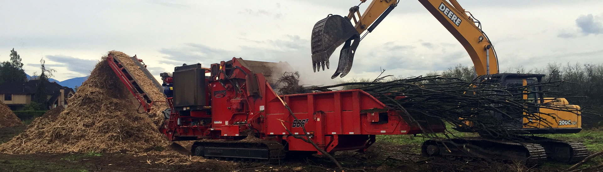 Denbow grinding hazelnut trees