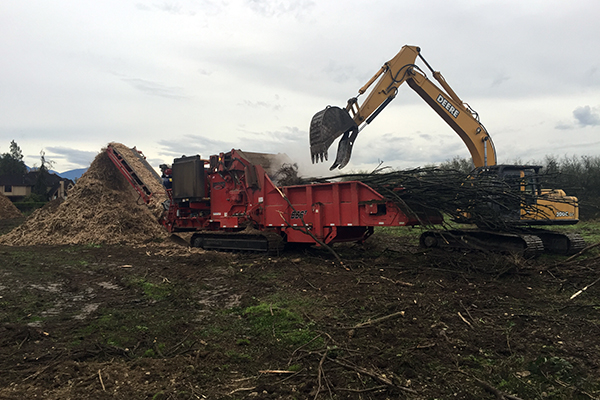 Grinding wood into mulch - Denbow