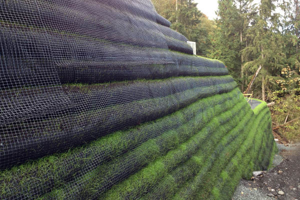 Sustainable Development - Cascadia Green Wall System