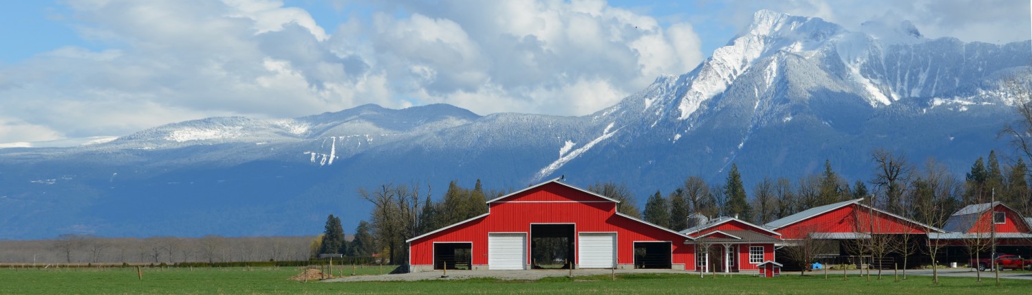 Barns with mountains in background