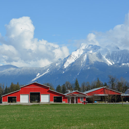 Dairy Farm