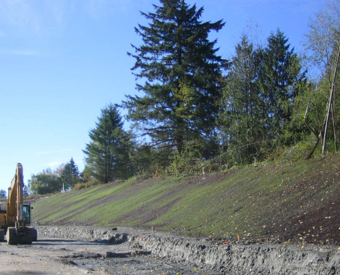 Golden Ears bridge project