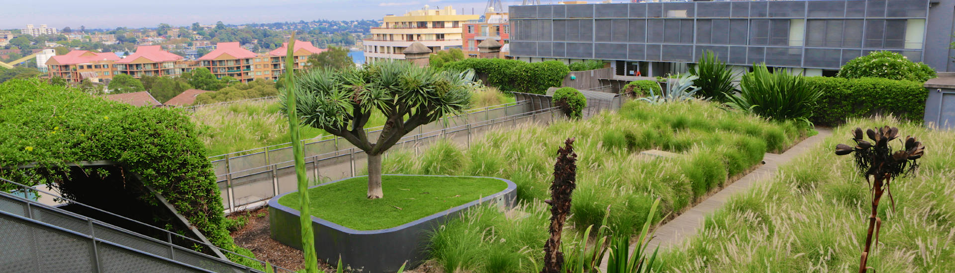 Greenroof soil