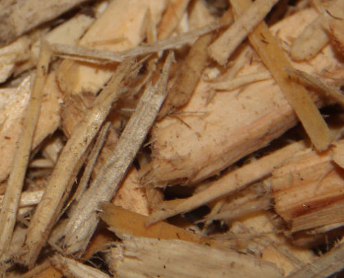 Playground Wood Chips