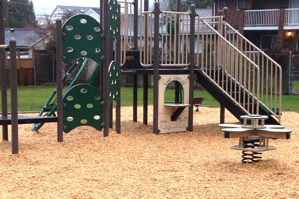 Playground Wood Chips and play structure