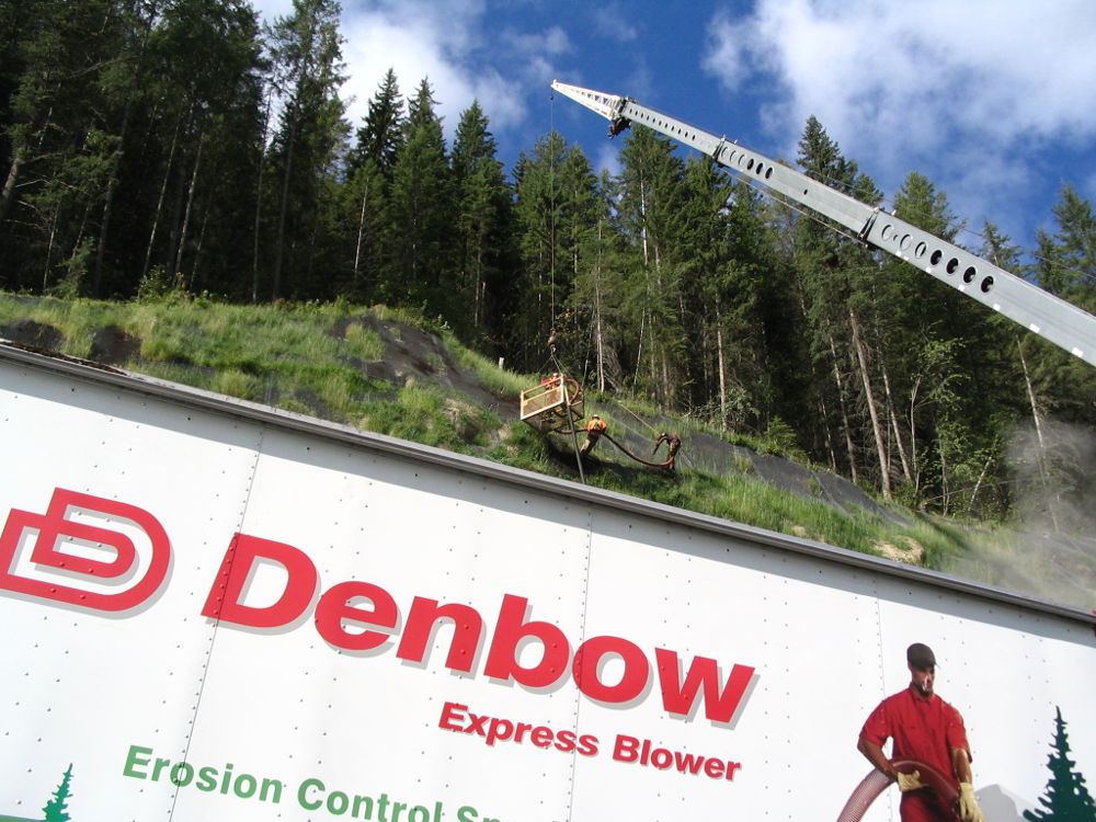 Kicking Horse landscape revegetation