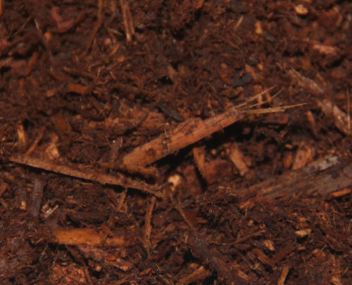 fir bark mulch