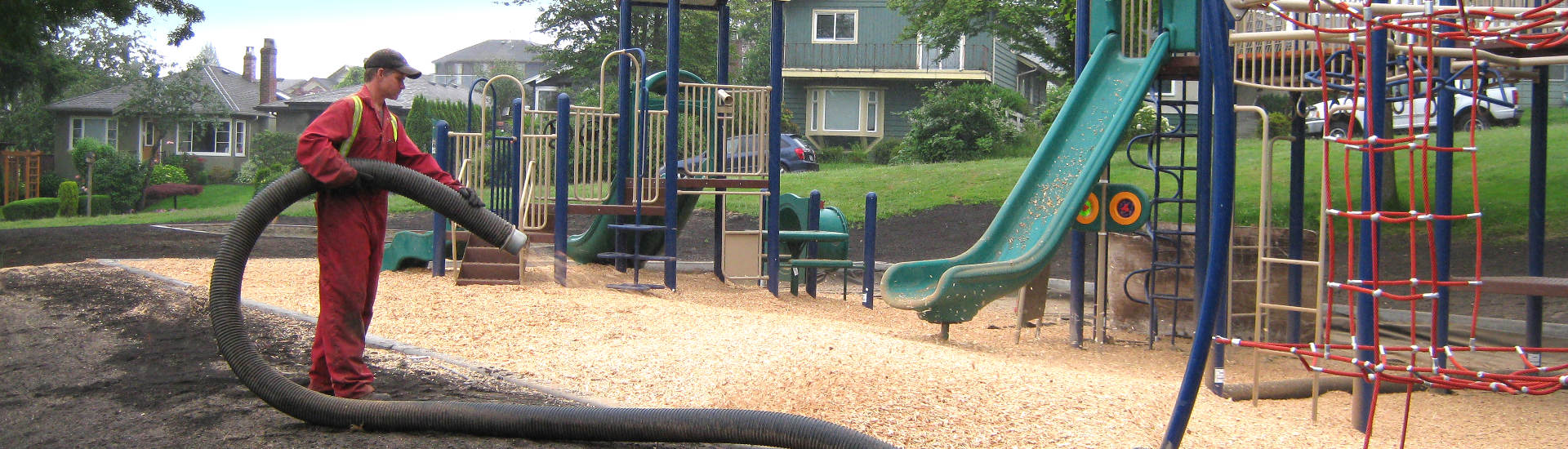 Playground wood chips as ground cover