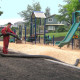 Playground wood chips