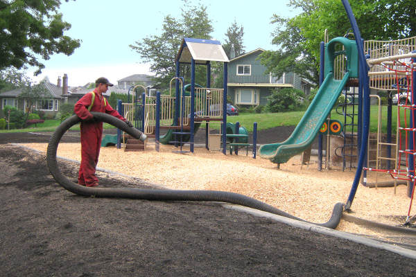 Playground wood chips