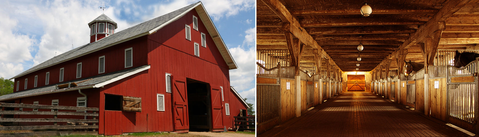 Horse Bedding