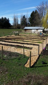 SPF wood chips for garden paths