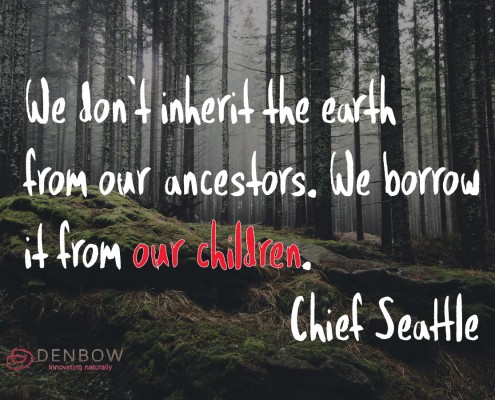 We don't inherit the earth from our ancestors. We borrow it from our children. Chief Seattle