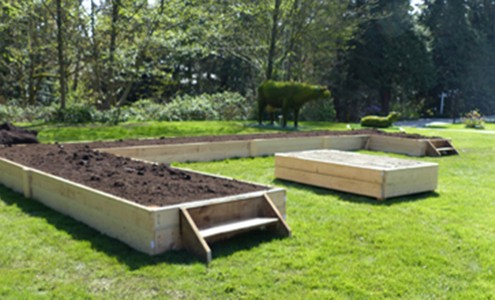 Raised Garden Beds