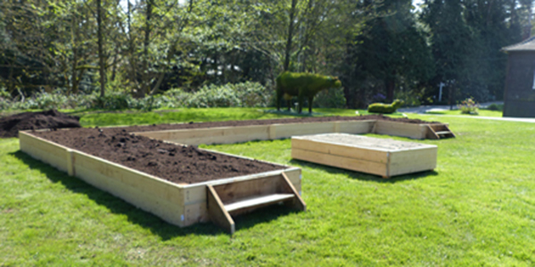 Raised Garden Beds