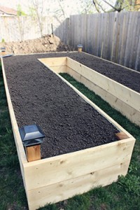 raised garden bed construction suggestions by Denbow