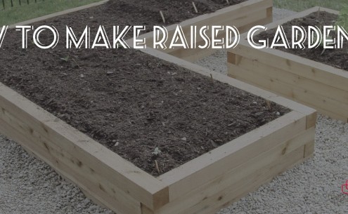 Denbow gives a short into to raised garden beds