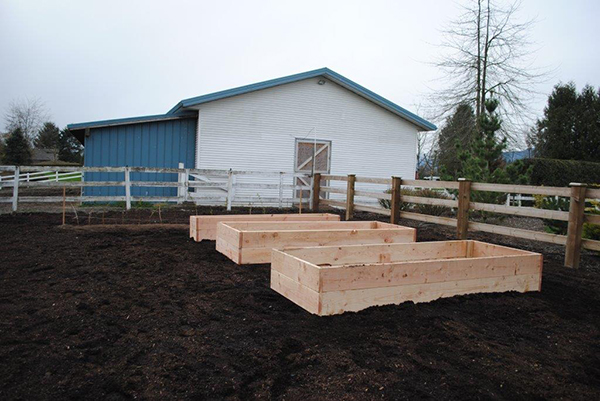 Raised garden boxes