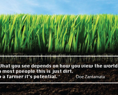 soil is incredibly important for our farming partners