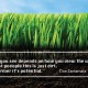soil is incredibly important for our farming partners