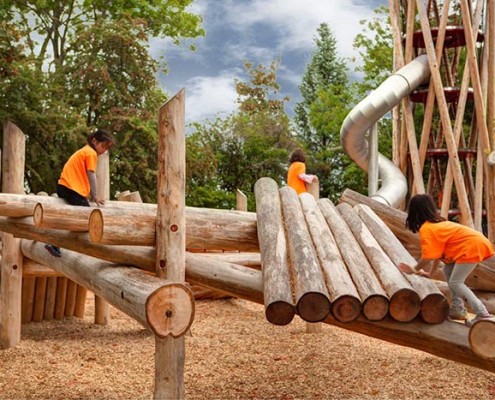 Terra Nova Playground with Wood Chips