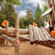 Terra Nova Playground with Wood Chips