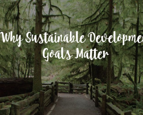 Sustainable development goals matter since it effects most people engaged with the land