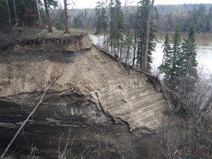 left unchecked erosion of the banks of the fraser river could create disaster