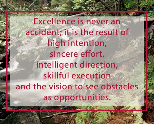 excellence vision opportunities