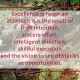excellence vision opportunities