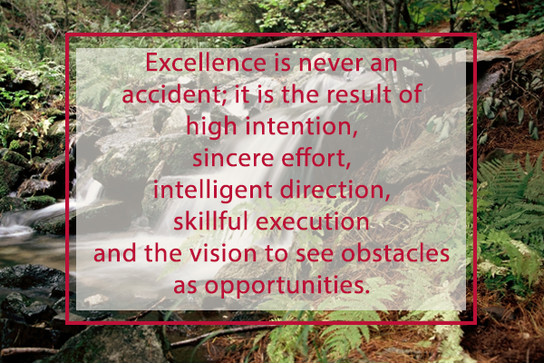 excellence vision opportunities