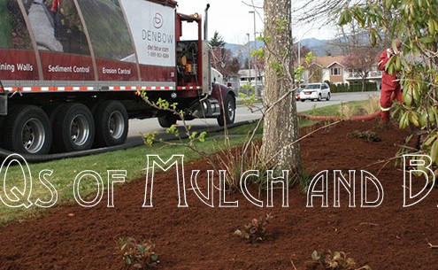 FAQs of Mulch and Bark