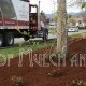 FAQs of Mulch and Bark