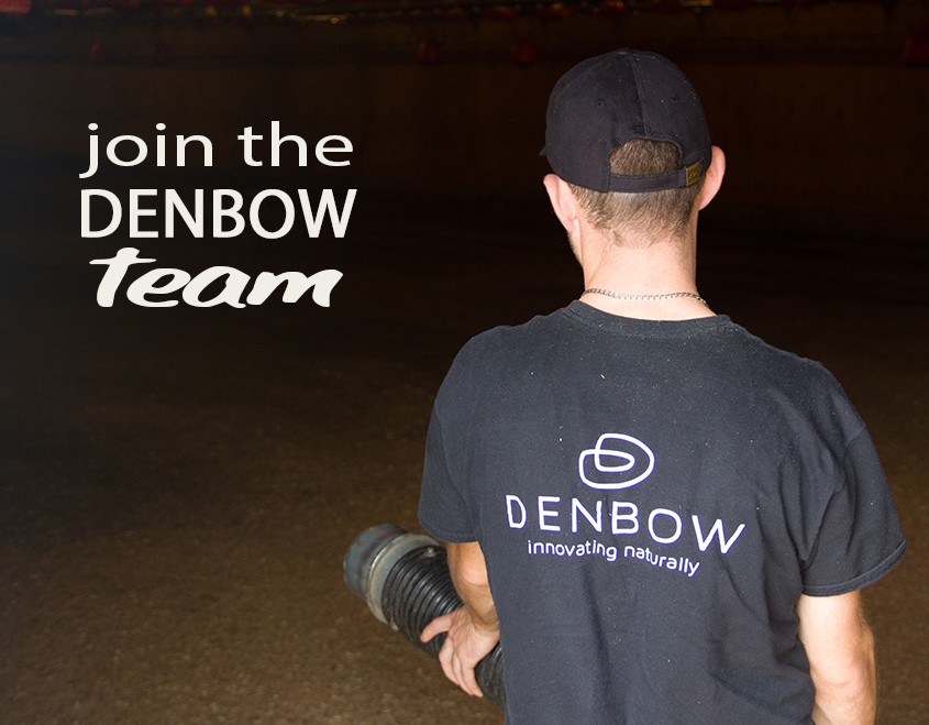 join the denbow team