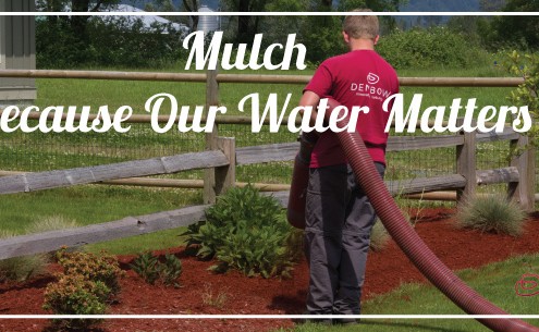 mulch helps lower water usage during the hot months