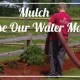 mulch helps lower water usage during the hot months