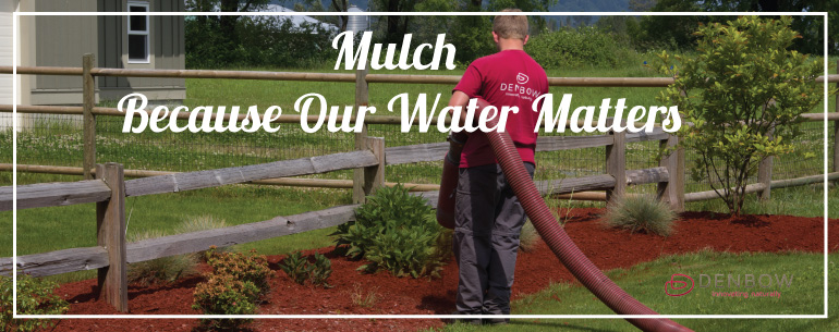 mulch helps lower water usage during the hot months