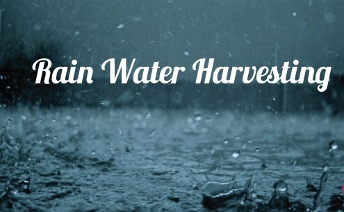 rain water harvesting can help with summer water conservation