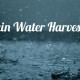 rain water harvesting can help with summer water conservation