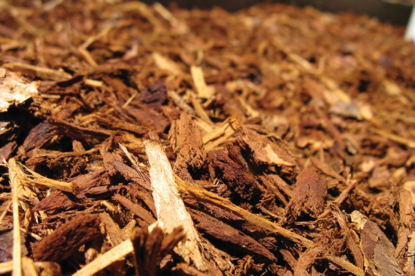 Is Coloured Mulch Safe For Your Garden Denbow